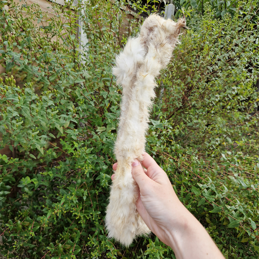 Hairy Rabbit Skins